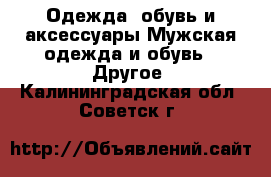 Одежда, обувь и аксессуары Мужская одежда и обувь - Другое. Калининградская обл.,Советск г.